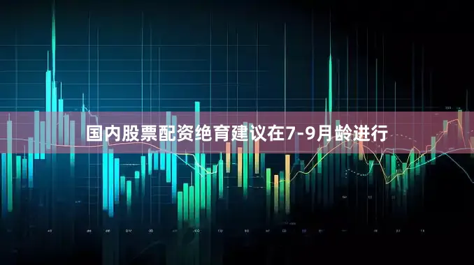 国内股票配资绝育建议在7-9月龄进行