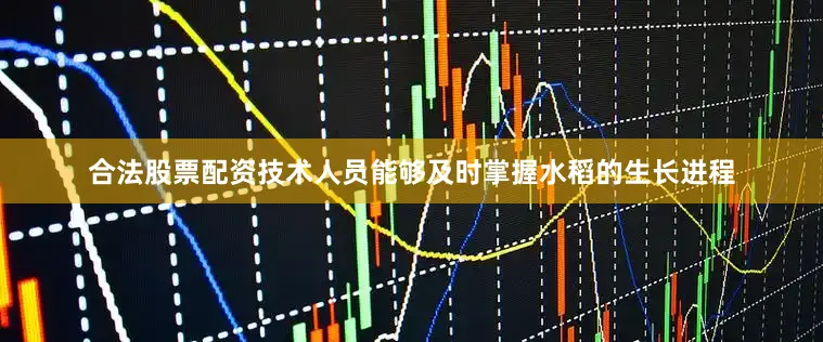 合法股票配资技术人员能够及时掌握水稻的生长进程