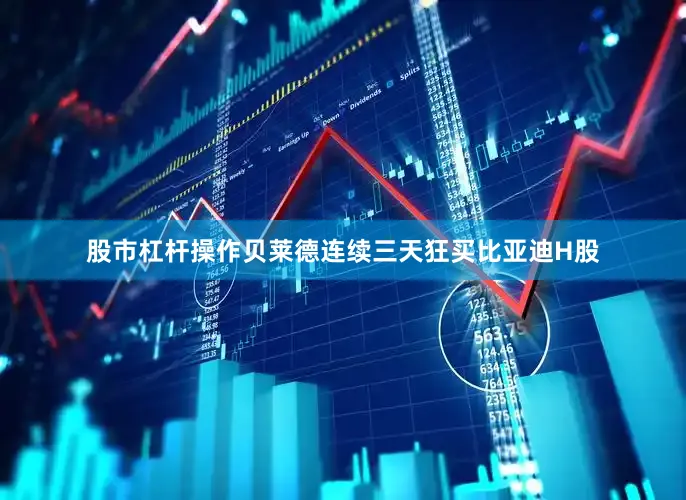 股市杠杆操作贝莱德连续三天狂买比亚迪H股
