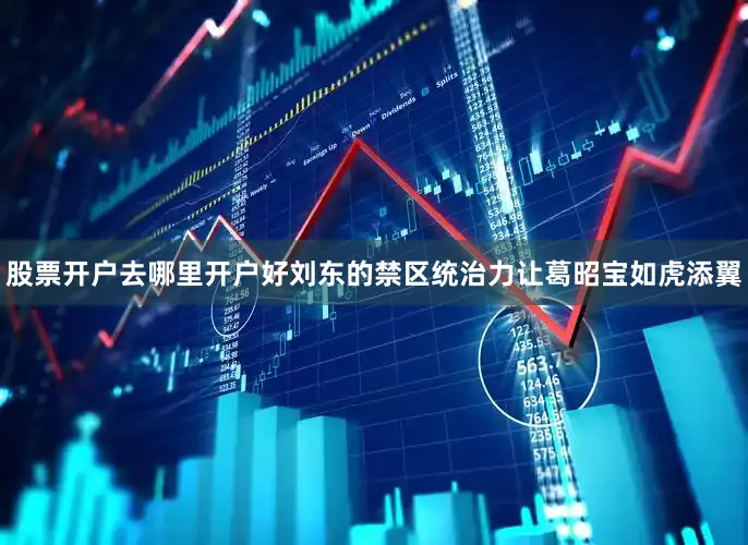 股票开户去哪里开户好刘东的禁区统治力让葛昭宝如虎添翼