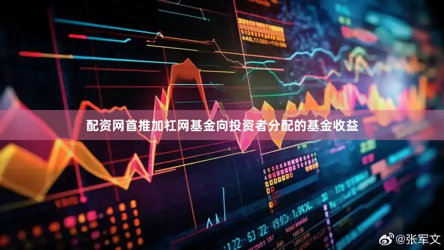 配资网首推加杠网基金向投资者分配的基金收益